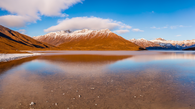 四虎成人免费观看在线网址